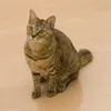 mememeoew