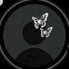 rosi_deni8