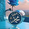 user6235122544067