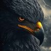 mostafaelsayed6307