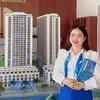 Bùi Mỹ Dự Án Hải Phòng