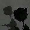 a..n..ia