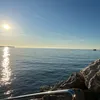 vibecatcherr7