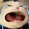 user4yac3cfved