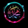 Hz.Muhammed Sevdalıları