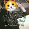 moatsaif2