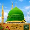 syedtanveer8247