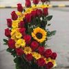ruthnoemi5175