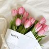 rose_marina62