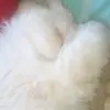 masha_kr78
