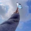 esraas.mohamed7