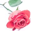 poeziyam_
