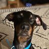 kinnick_1313