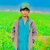 rauf.sindhi6