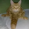 hubik69231