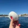 napoliesentimento