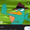 perrytheplatypus409