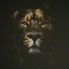 malko0.9