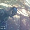 ouzairousankara7682