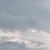 nannhacuatiengtrung