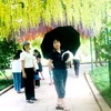 la.inh6