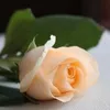 behappyalllifetitalk