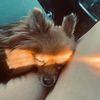 muyallover