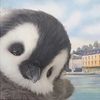 wafa_346_