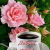 user211613700754