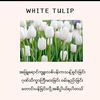 phyo.phyo98130