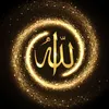 muslimsrepent