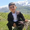 areen2021