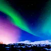 auroralampsofficial