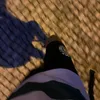 zaccprime
