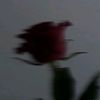 patma.03.12