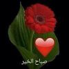 lloveuae3