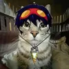 luffy_amstart