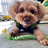 www.tiktok.compez3