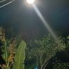 bocil_icibos