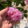 user7kn48tk0gv