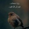 sahelrouita