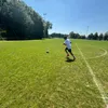 lukinobrill1