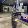 _scuri