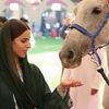 rony..almshty