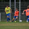 tomvanhulle21