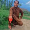 sajjadahma10