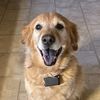 ilovemydogs209