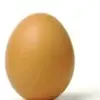 imaneggyegg