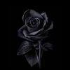 bl4ck._r0se