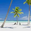 jomalur